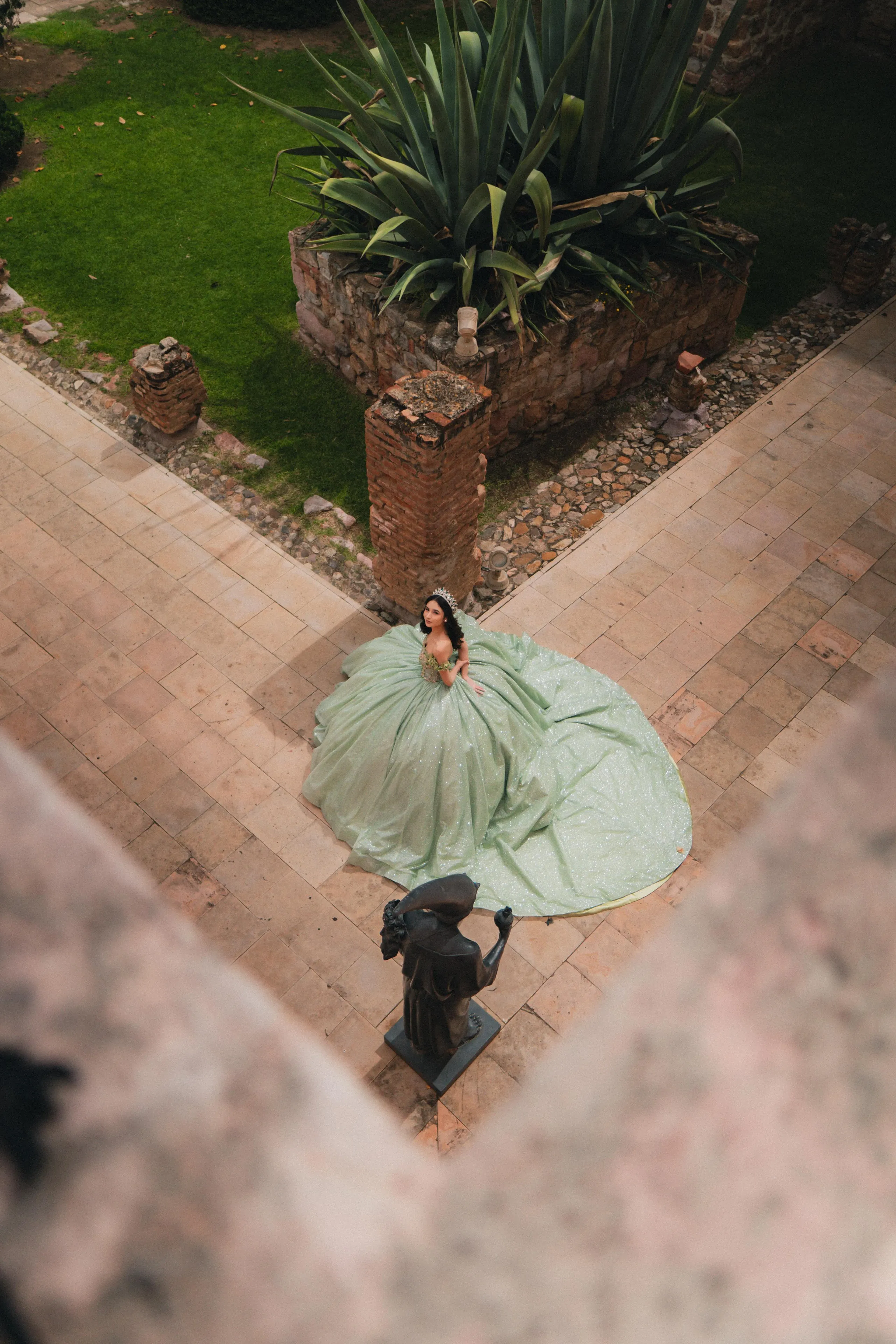 Paloma en el jardín